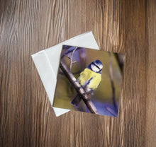 Load image into Gallery viewer, Chirpy Blue tit Blank any Occasion Greeting Card
