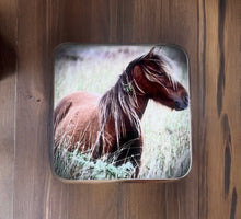 Load image into Gallery viewer, Wild Horse Glossy Single Coaster
