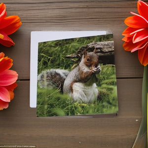 Adorable Grey Squirrel Card for Any Occasion.