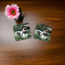 Load image into Gallery viewer, Cute Grey Squirrel Wooden Coaster Set
