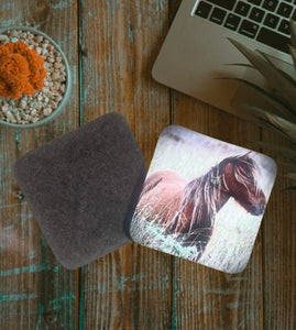 Wild Horse Glossy Single Coaster