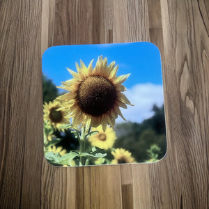 Sunny Sunflower Glossy Wooden Coaster Set