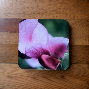 Sweet Pea Glossy Single Coaster