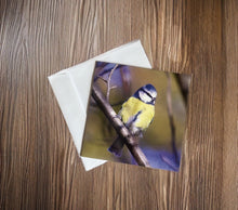 Load image into Gallery viewer, Chirpy Blue tit Blank any Occasion Greeting Card
