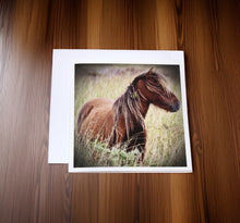 Load image into Gallery viewer, Charming Wild Horse Greeting Cards
