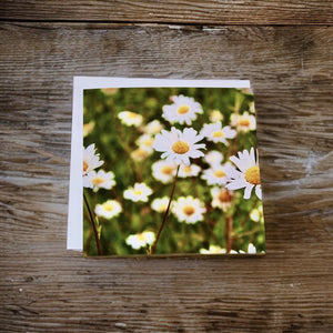 Delightful Daisy-themed Blank Card for Any Occasion