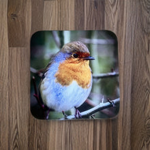 Load image into Gallery viewer, Chirpy Robin Glossy Wooden Coaster Set
