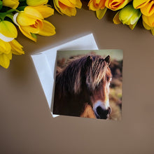 Load image into Gallery viewer, Charming Horse Greeting Card for Horse Lovers
