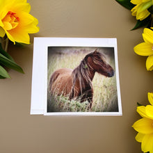 Load image into Gallery viewer, Charming Wild Horse Greeting Cards
