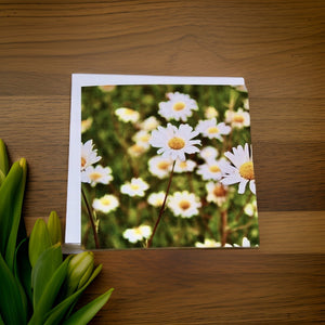 Delightful Daisy-themed Blank Card for Any Occasion