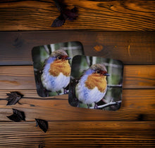 Load image into Gallery viewer, Chirpy Robin Glossy Wooden Coaster Set
