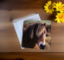 Load image into Gallery viewer, Charming Horse Greeting Card for Horse Lovers
