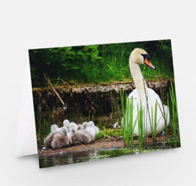 Load image into Gallery viewer, Heartwarming Swan Family Glossy Blank Greeting Card
