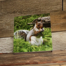 Load image into Gallery viewer, Adorable Grey Squirrel Card for Any Occasion.
