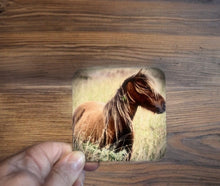 Load image into Gallery viewer, Wild Horse Glossy Single Coaster
