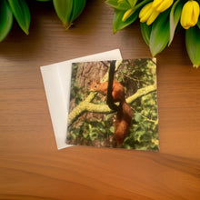 Load image into Gallery viewer, Delightful Red Squirrel Glossy Blank Greeting Card
