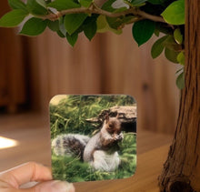 Load image into Gallery viewer, Grey Squirrel Glossy Single Coaster
