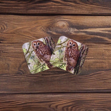 Load image into Gallery viewer, Captivating Woodland Tawny Owl Glossy Wooden Coaster Set
