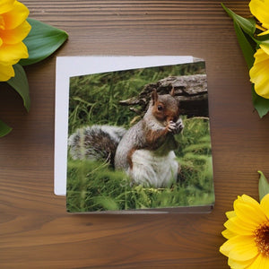 Adorable Grey Squirrel Card for Any Occasion.