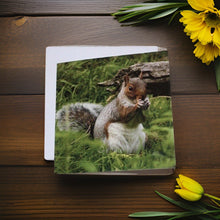 Load image into Gallery viewer, Adorable Grey Squirrel Card for Any Occasion.
