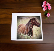 Load image into Gallery viewer, Charming Wild Horse Greeting Cards
