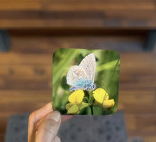 Load image into Gallery viewer, Beautiful Blue Butterfly Glossy Wooden Coaster Set
