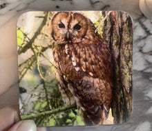 Load image into Gallery viewer, Tawny Owl Glossy Single Coaster
