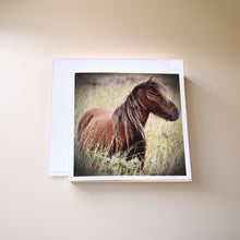 Load image into Gallery viewer, Charming Wild Horse Greeting Cards
