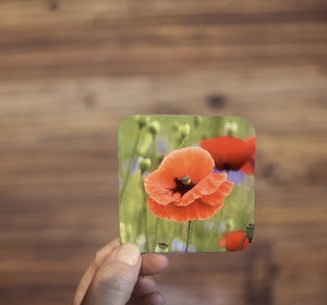 Red Poppy Glossy Single Coaster