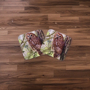 Captivating Woodland Tawny Owl Glossy Wooden Coaster Set