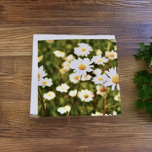 Delightful Daisy-themed Blank Card for Any Occasion