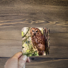 Load image into Gallery viewer, Captivating Woodland Tawny Owl Glossy Wooden Coaster Set
