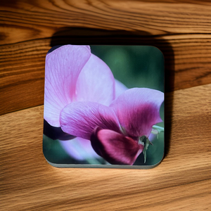 Sweet Pea Glossy Single Coaster