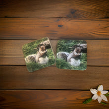 Load image into Gallery viewer, Cute Grey Squirrel Wooden Coaster Set
