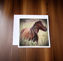 Load image into Gallery viewer, Charming Wild Horse Greeting Cards
