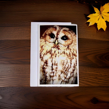 Load image into Gallery viewer, Captivating Woodland Tawny Owl Blank Greeting Card
