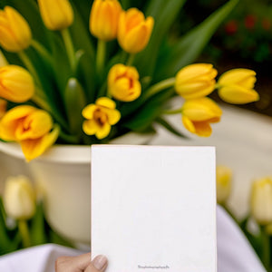 Dazzling Daffodil Greeting Cards Perfect for Every Celebration