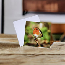 Load image into Gallery viewer, Chirpy Robin Blank any Occasion Greeting Card
