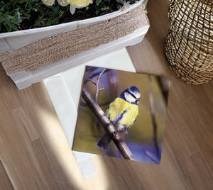 Chirpy Blue tit Blank any Occasion Greeting Card