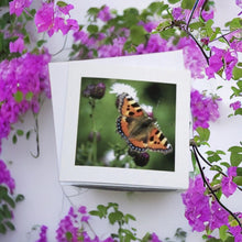 Load image into Gallery viewer, Elegantly Designed Butterfly-Blank Cards Suitable for Any Occasion.
