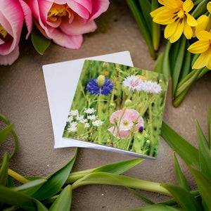 Blooming Beauty Wild Flower Blank Greeting Card