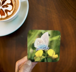 Blue Butterfly Glossy Single Coaster