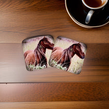 Load image into Gallery viewer, Charming Wild Horse Glossy Wooden Coaster Set
