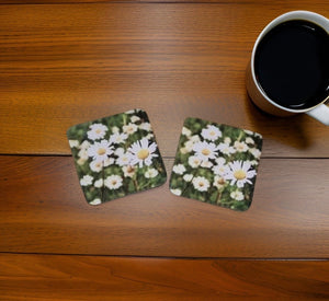 Oxeye Daisy Glossy Single Coaster