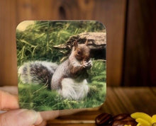 Load image into Gallery viewer, Grey Squirrel Glossy Single Coaster
