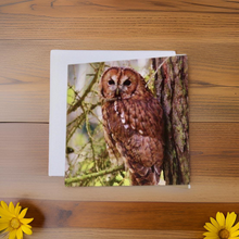 Load image into Gallery viewer, Tawny Owl Glossy Blank Greeting Cards
