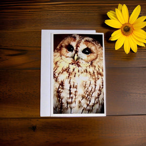 Captivating Woodland Tawny Owl Blank Greeting Card