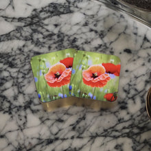 Load image into Gallery viewer, Striking Poppy Glossy Wooden Coaster Set
