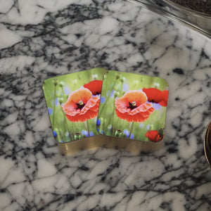 Striking Poppy Glossy Wooden Coaster Set