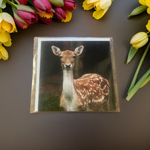 Load image into Gallery viewer, Majestic Fallow Deer Blank Greeting Cards for Any Occasions
